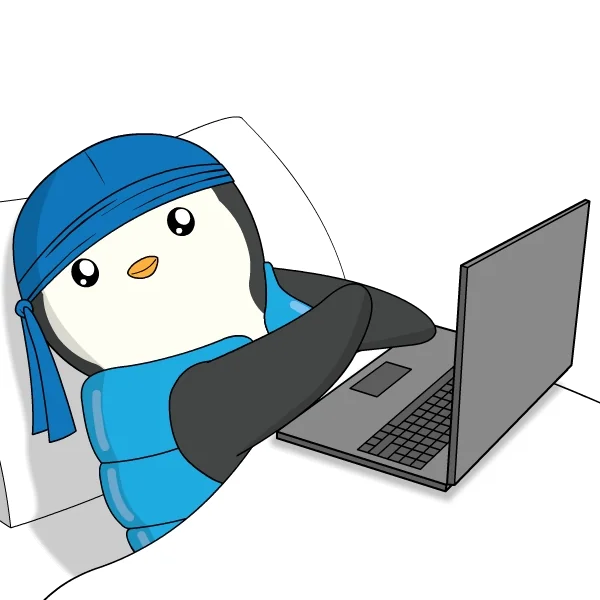 RaccoonLaptopGif